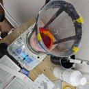 신호정비 서부산점 이미지