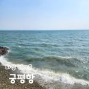 조마낚시터 | 화성 궁평항 주말 나들이 데이트 어린이낚시체험 갯벌체험