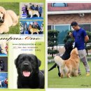 올림푸스원 이미지