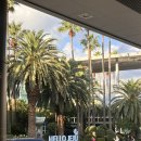 감귤박물관 위 | 9월 말 제주도 날씨 : 거문오름, 오설록 티 뮤지엄, 감귤 박물관