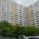 우면대림 이미지