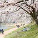 용당세월교 이미지