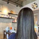 다올하우스 이미지