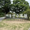 청주 미동산수목원 무료입장 미원 황토길 산책코스 다녀온 후기