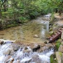 [양구추천] 동면 팔랑골캠핑장, 팔랑계곡, 팔랑폭포~ 팔랑팔랑의 비밀은? 자연중심양구^^