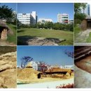 둔산 선사유적지 이미지