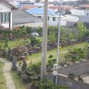 협재올레 이미지