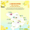 궁호텔 | 전주 봄꽃 여행 코스 추천 | 이팝나무 축제부터 시기별 명소 정리