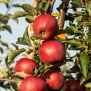 함영식농장 이미지