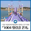 퍼플소 이미지