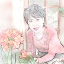 스케치 이미지