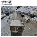 기찬농장 | 농업용 전기 열풍기 및 온풍기 기찬보일러 비닐하우스 난방 방법 솔루션
