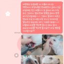 하은동물병원 이미지