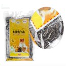 햄스터살롱 이미지