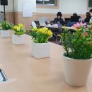 [온라인]스마트폰 카메라-사진 보정과 편집 이미지