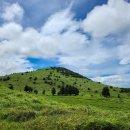 오름새 | 제주 동쪽 가을 가볼만한곳 일몰 명소 용눈이 오름 추천 입구/소요시간