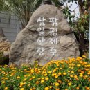 팜핑제주 이미지