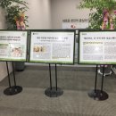 모하우스 이미지