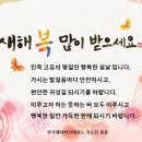 한국체대 비전태권도 이미지