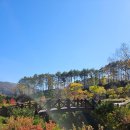 동서자원 | 강원] 정선 백두대간생태수목원 / 영월 동서강정원연당원 방문후기
