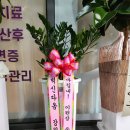 옴요가＊필라테스 네이버블로그