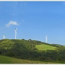 삼양목장 이미지