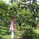 서촌농장 이미지