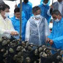 마량의원 이미지