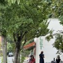 영국농장 | [영국 런던] 해크니 violet cakes, 카페 세실리아