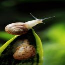 성원 건축사사무소 이미지