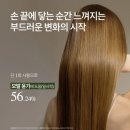 [부모님 설 선물 1순위! 탈모] ​"탈락 모발 64% 감소?" 보타랩 데저티콜라 플러스, 설 명절 역대급 3+1...