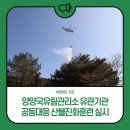 육군 제1799부대