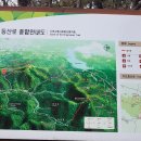 웅천삼거리 이미지