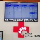 패밀리동물병원 이미지