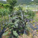 여수개도중학교 이미지