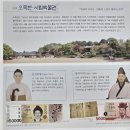 경포의하루 이미지