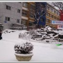 대구내서초등학교 이미지