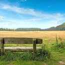 중부내륙고속도로지선 이미지