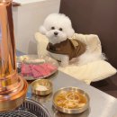 바른생고기정육점 소풍정육식당 이미지