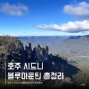 시드니 자유여행 블루마운틴 가는법 기차 선셋 투어 비교
