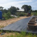 자매농장 이미지