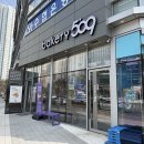공구장사 | 소금빵 맛집 베이커리509 오공구베이커리 후기