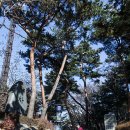 면목녹색약국 | 눈 내린 다음날의 아차산 풍경