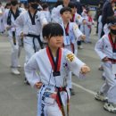 태극태권도장 이미지