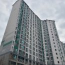 영진아파트 앞 2 이미지