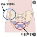 프라우필라테스 | [30-32주차] 임신후기 스타트, 청주 프라우삼성산부인과