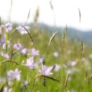 서있는 사람 이미지