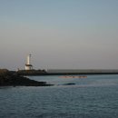 귀덕귀덕 이미지