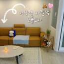 소파 추천 : 시스디자인 하운드 4인 천연면피가죽 묘듈 소파 카멜브라운 후기