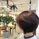 헤어하고hairHAGO#
